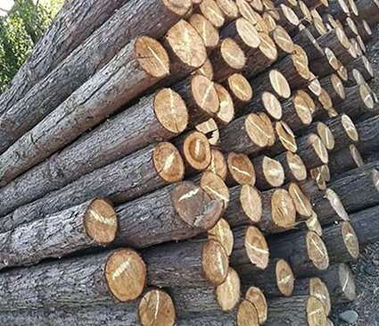 防止高回填土方下沉的木樁結(jié)構分析