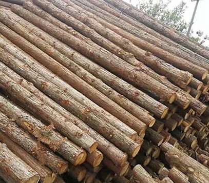 多功能仿樹景觀木樁的搭建