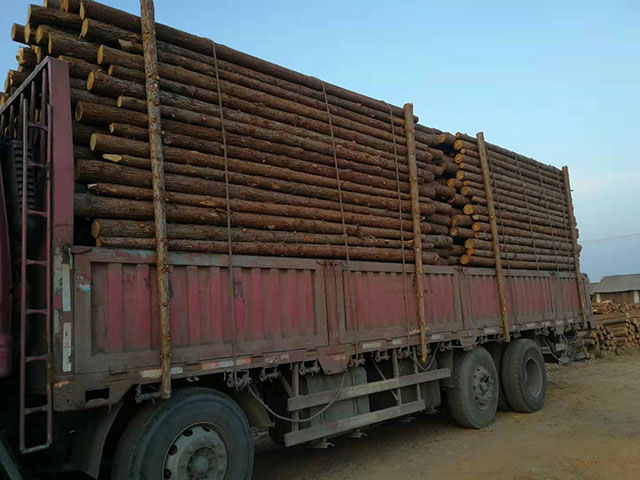 杉原木施工方案