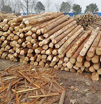 ɼľ���Ĳ�ُҪ�c����