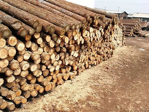 景觀木樁在園林設(shè)計中的應(yīng)用