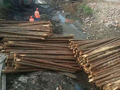 河道護坡木樁的生物工程防護技術(shù)