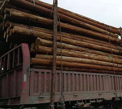 生態(tài)木樁護岸的目的性