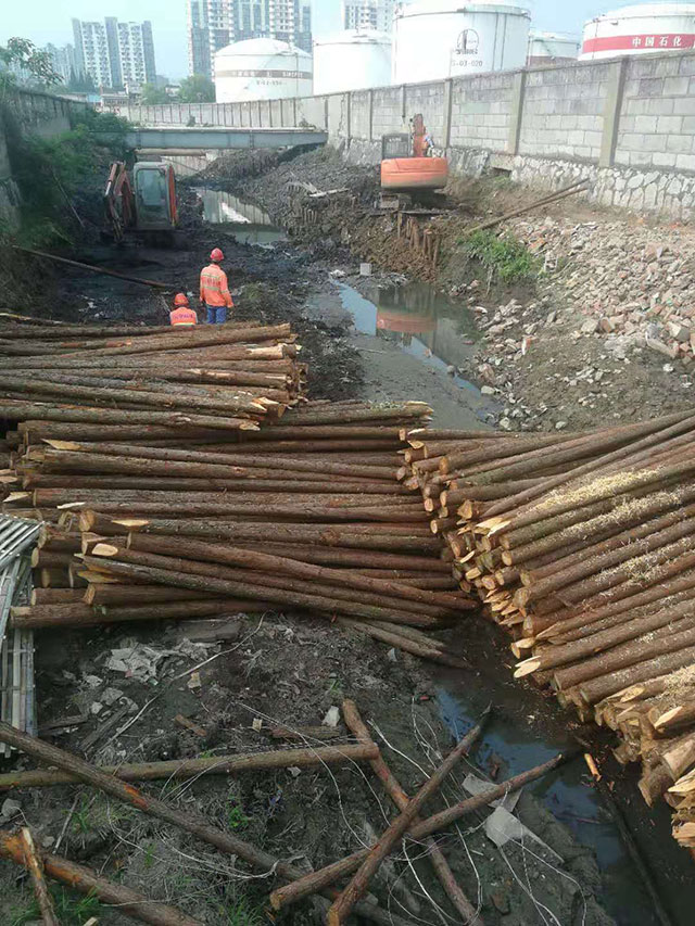 駁岸景觀木樁哪家好