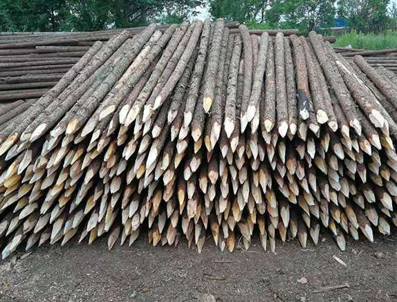 影響杉木樁實(shí)際使用的因素 影響杉木樁實(shí)際使用的因素