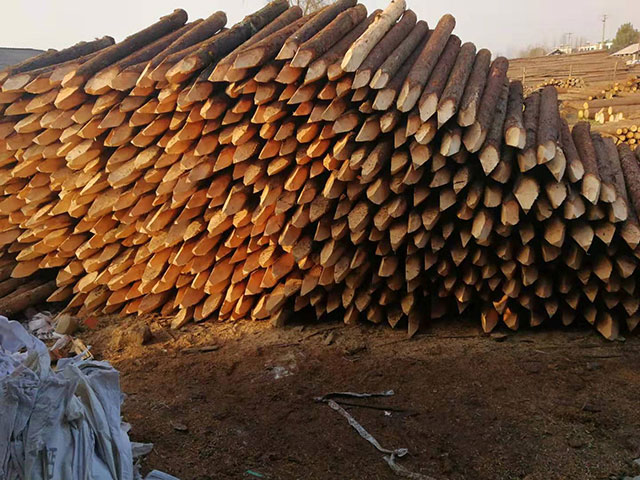 20公分杉木原木施工方案