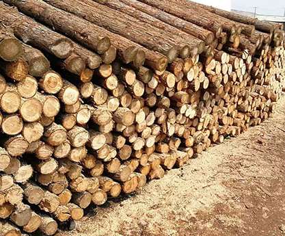 ɼľ���r(ji��)��^(q��)�e��ԭ�����