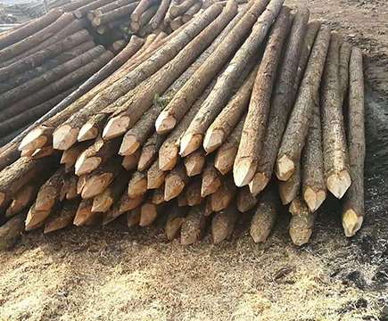 ɼľ�����xُ(g��u)֪�R(sh��)�v��