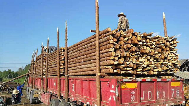 30����ɼľԭľ�������u��[���B(t��i)�ɷ�]