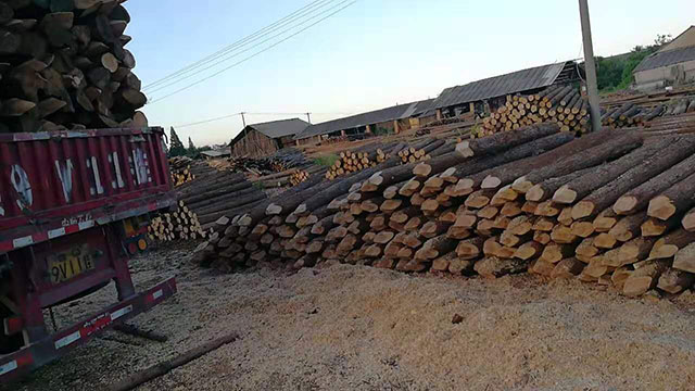 駁岸短木樁報價