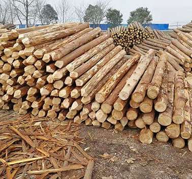 江蘇杉木樁有哪些常用的防腐措施