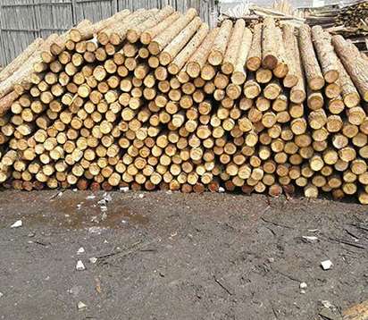 �в�ʽ��ľ�������B(t��i)�����Y(ji��)��(g��u)