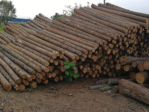 松木樁在水利工程中有哪些應用