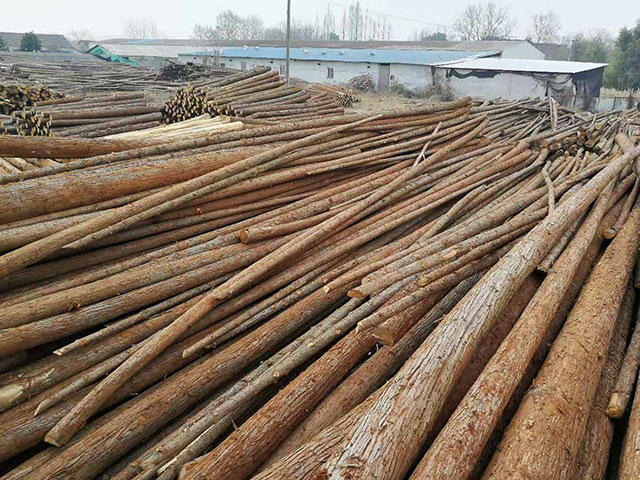 駁岸河道護(hù)坡木樁哪里有賣的