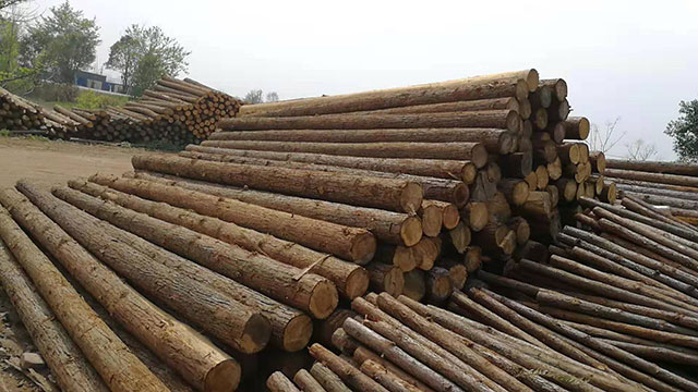 削尖防汛木樁哪家好