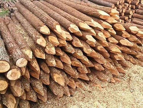 河道木樁延長壽命的小妙招