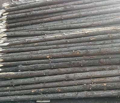 ɼľ��������Ҫ�ƿ�ʲô