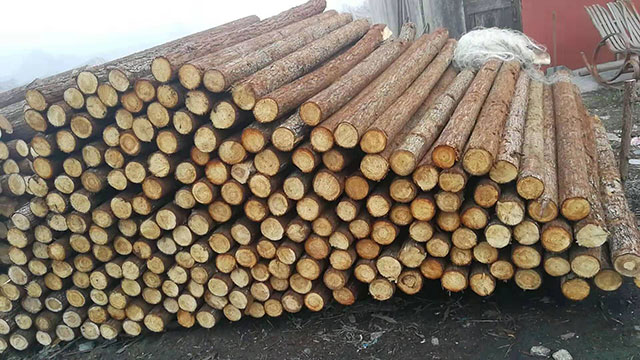 20公分生態(tài)木樁多少錢一根