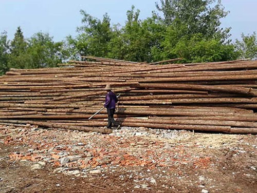 杉木樁避免發(fā)生開裂情況的手段