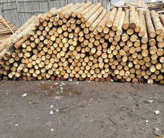 質(zhì)量不好的杉木樁如果使用會(huì)怎么樣 質(zhì)量不好的杉木樁如果使用會(huì)怎么樣