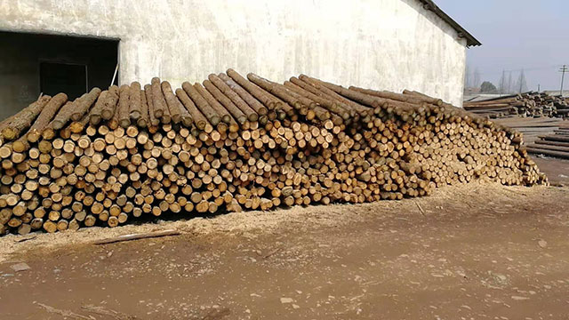 30����ɼľ���������u��[���l(f��)����(y��ng)]