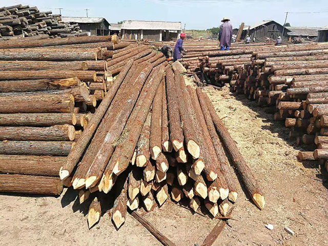 30公分生態(tài)木樁哪里有賣(mài)的