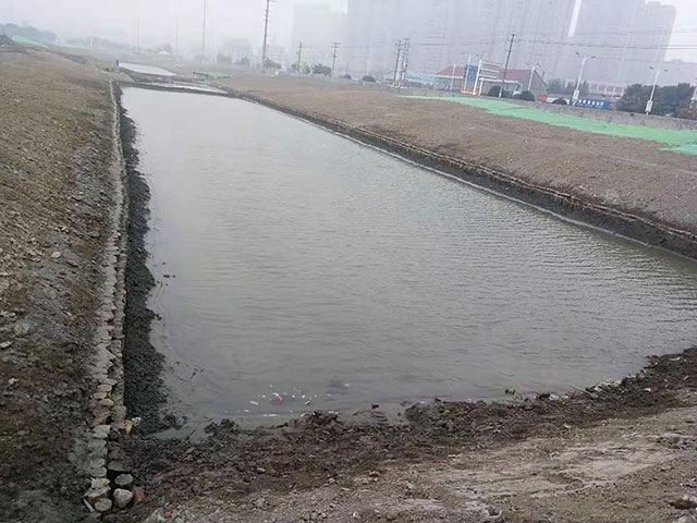 駁岸杉原木生產(chǎn)廠家