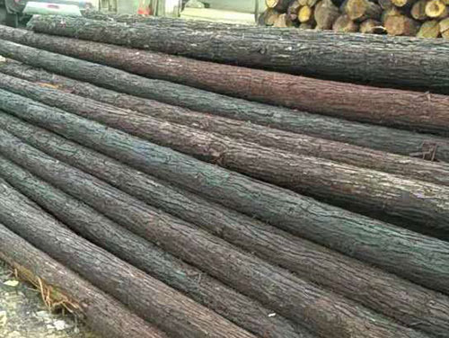 ���mľ���Ј�(ch��ng)�܈�(b��o)����ľ��ɼľԭľ�r(ji��)�������½�