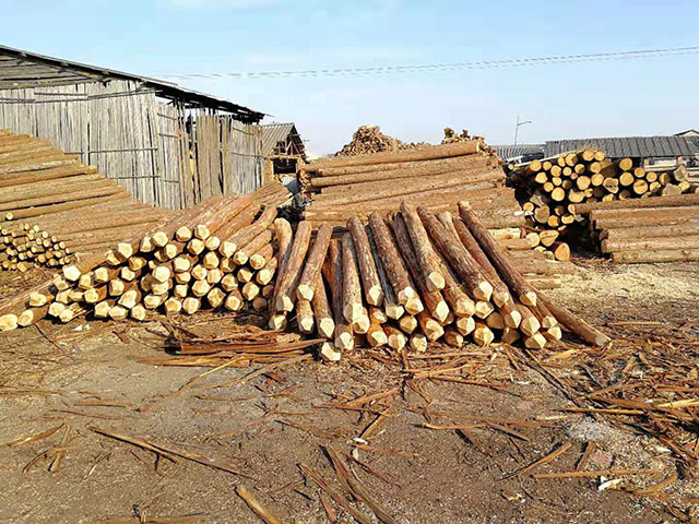 ����ɼľ�������Xһ��[؛Դ����]