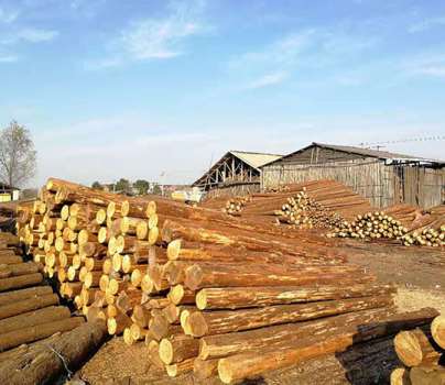 ɼľ���x��Ҫ�c����