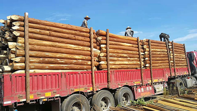 削尖護坡木樁多少錢一米