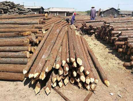 ��ʲôɼľ����(hu��)���F(xi��n)�p��