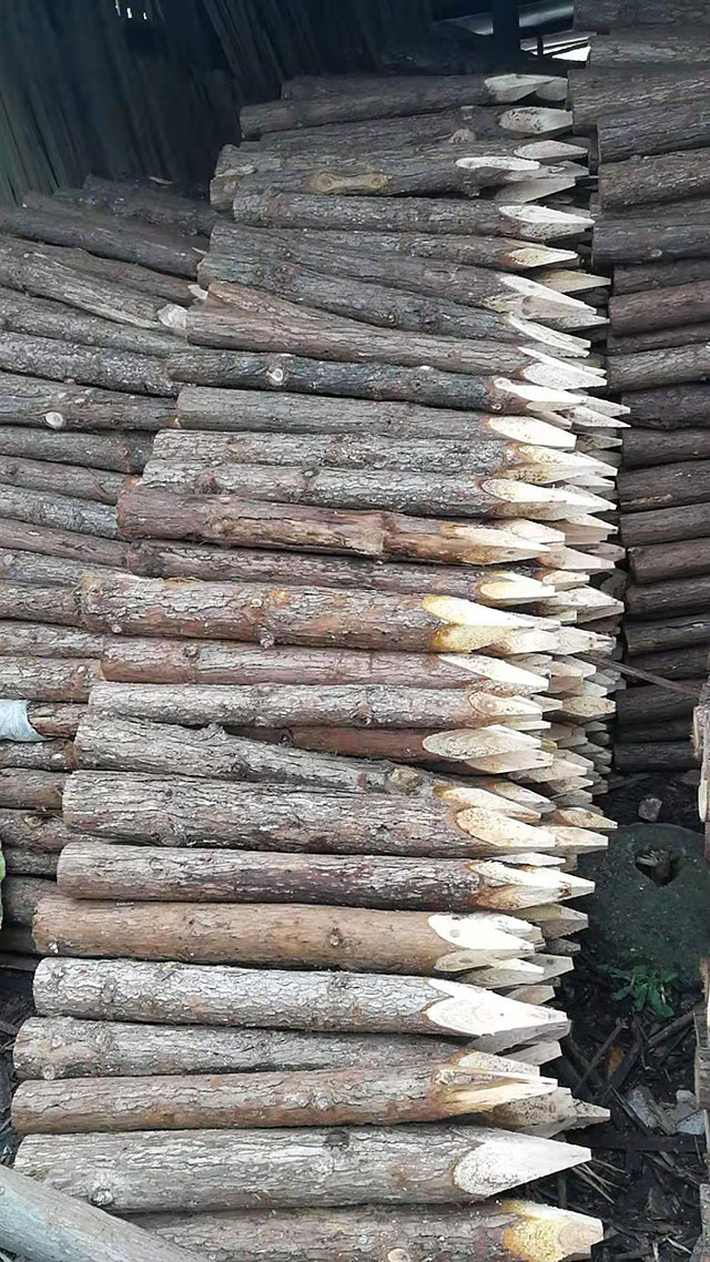 短木樁廠家 短木樁廠家