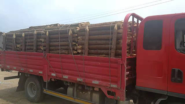 木樁多少錢 木樁多少錢