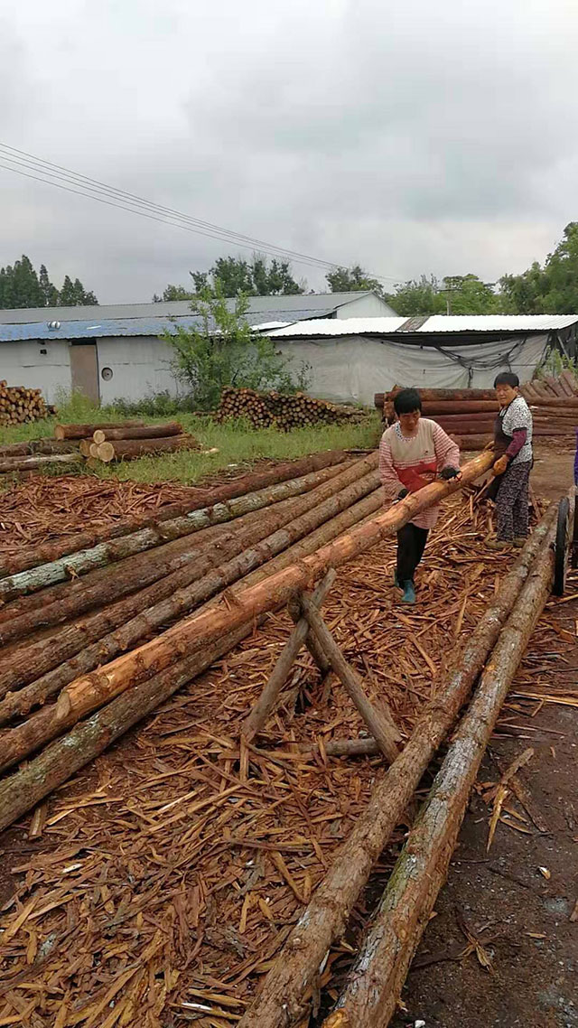木樁加工廠 木樁加工廠