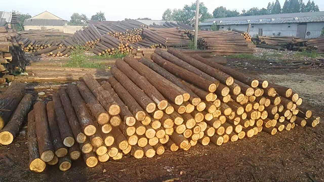 圓木樁哪家好 圓木樁哪家好