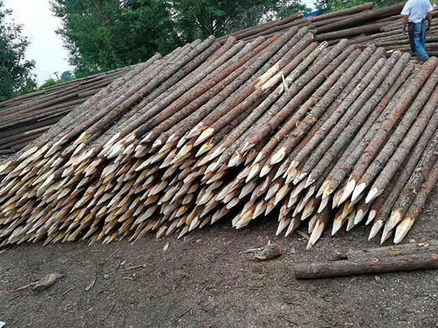 樁木供應(yīng) 樁木供應(yīng)